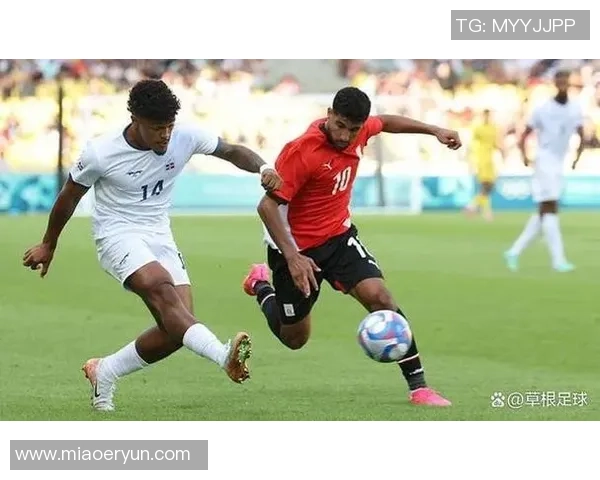 多米尼加足球明星盘点及其在国际赛场上的表现分析