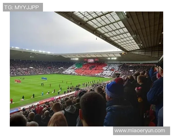 巧克力球星闪耀绿茵场 冠军足球背后的甜蜜传奇